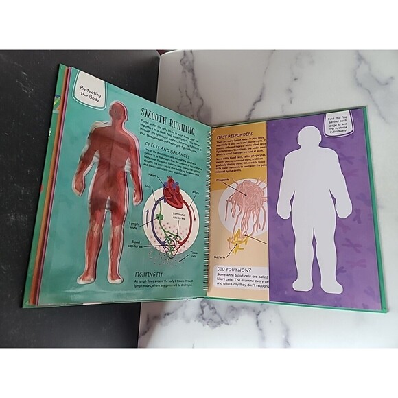 See Inside the Human Body - Hardcover By Hilton, Samantha - GOOD - Picture 7 of 10
